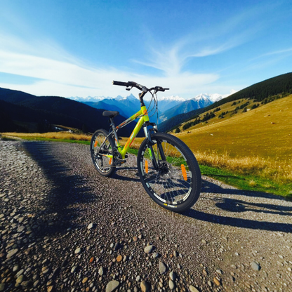 RIDERBOY MTB PRO 21 SPEED DUAL DISC /Hardtail 26 T (inch) Mountain Cycle (21 Gear, Green Grey, Only Front Suspension)