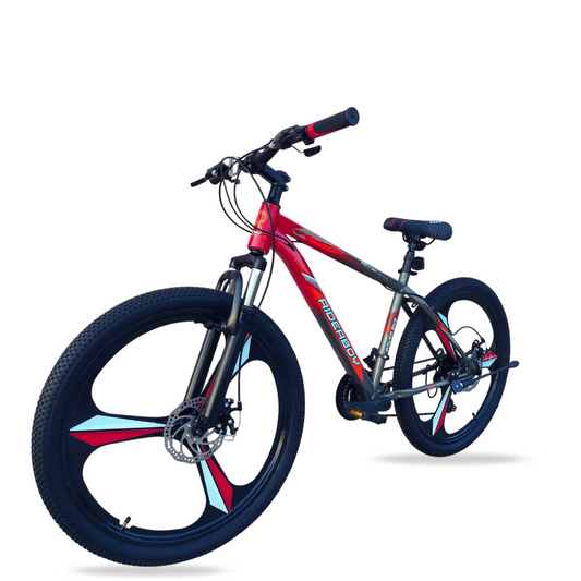 RIDERBOY 26 Inch Mountain Bike 21 Gear Mag Wheel 3/6-Spoke Wheels